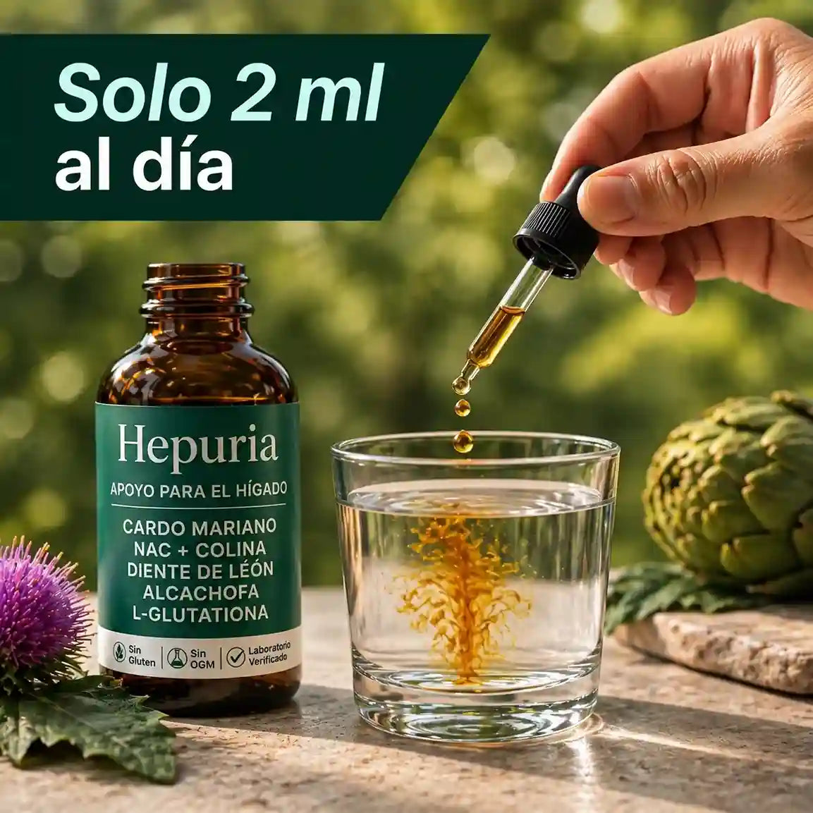 Soporte hepático Hepuria